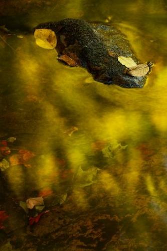 water;Green;Gold;White Rocks National Recreation Area;Yellow;Stones;Autumn;Red;Boulder;Leaf;Leafy;reflections;Patterns;Brown;Vertical;Leaves;lake;Abstract;Rock;pond;Fall;Green Mountain National Forest;Vermont;Orange;Rocks;reflection;Abstracts